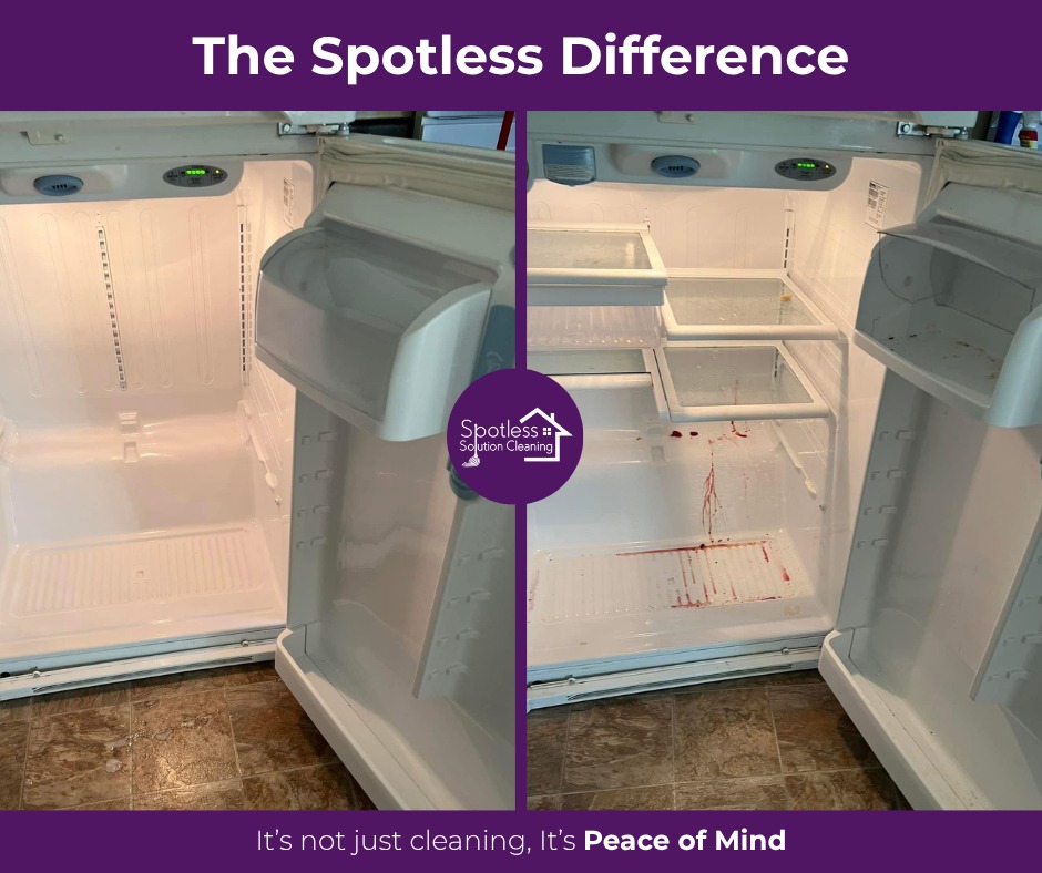 Spotless Solution Cleaning - work sample 2